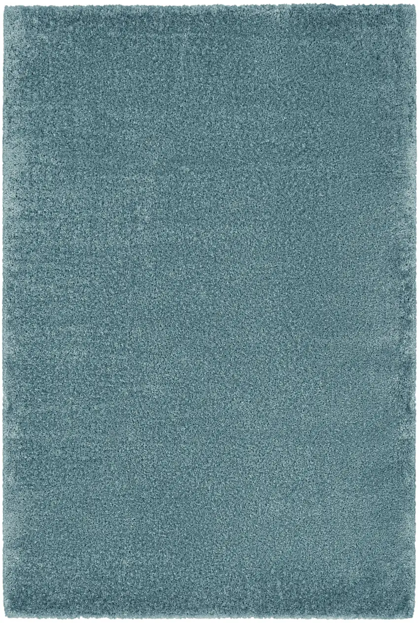 Aqua Shag Area Rug Photo 2