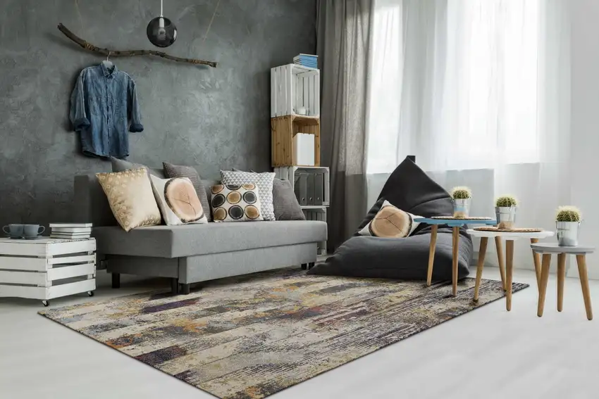 Area Rug Photo 4