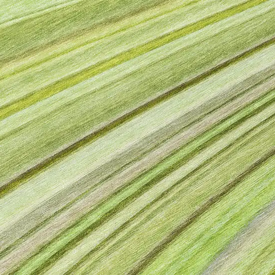 Artichoke Green And Olive Green Abstract Washable Indoor Outdoor Area Rug Photo 7