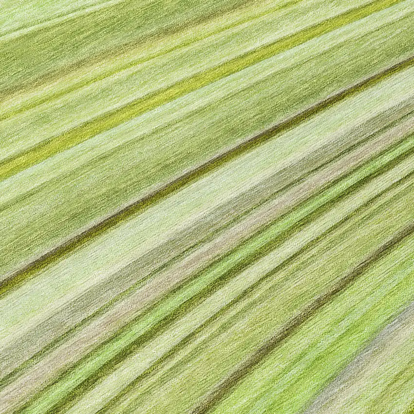 Artichoke Green And Olive Green Abstract Washable Indoor Outdoor Area Rug Photo 7