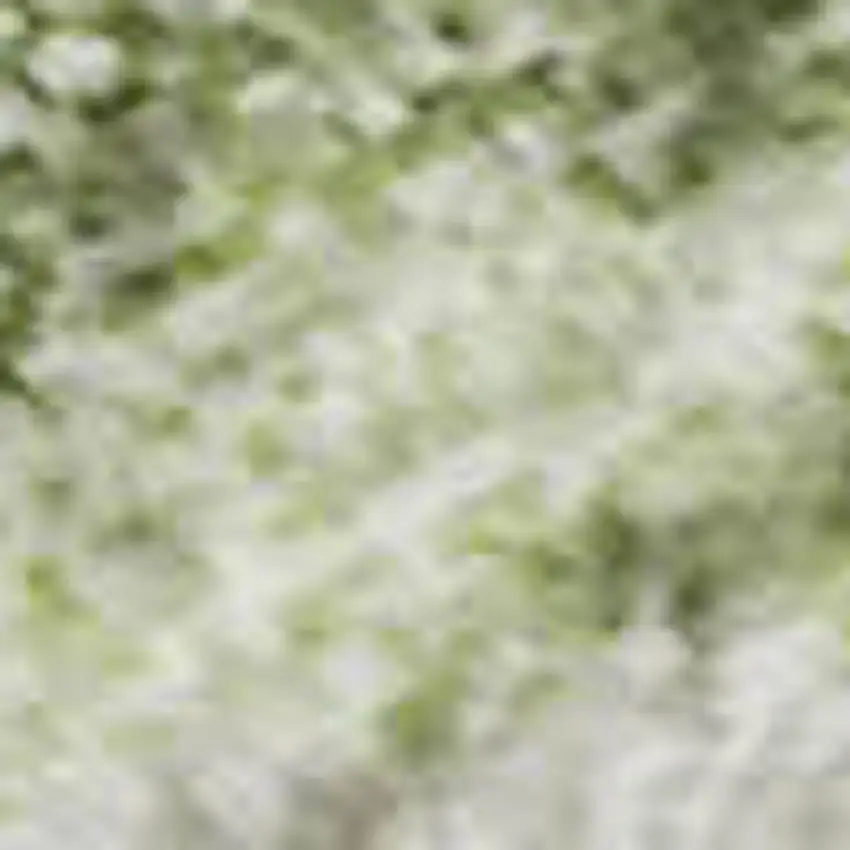 Artichoke Green And Beige Abstract Washable Area Rug With UV Protection Photo 3