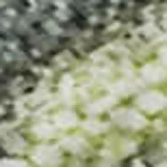 Artichoke Green And Gray Abstract Washable Area Rug With UV Protection Photo 2