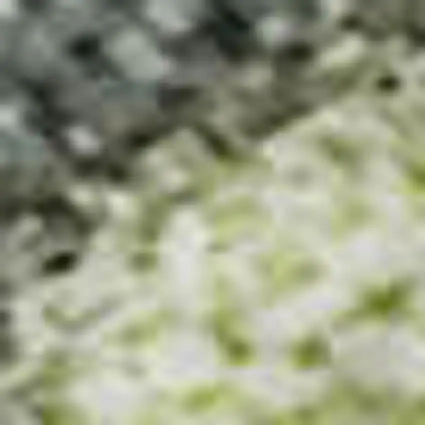 Artichoke Green And Gray Abstract Washable Area Rug With UV Protection Photo 1