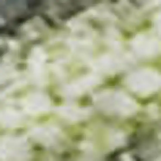 Artichoke Green And Gray Abstract Washable Area Rug With UV Protection Photo 1