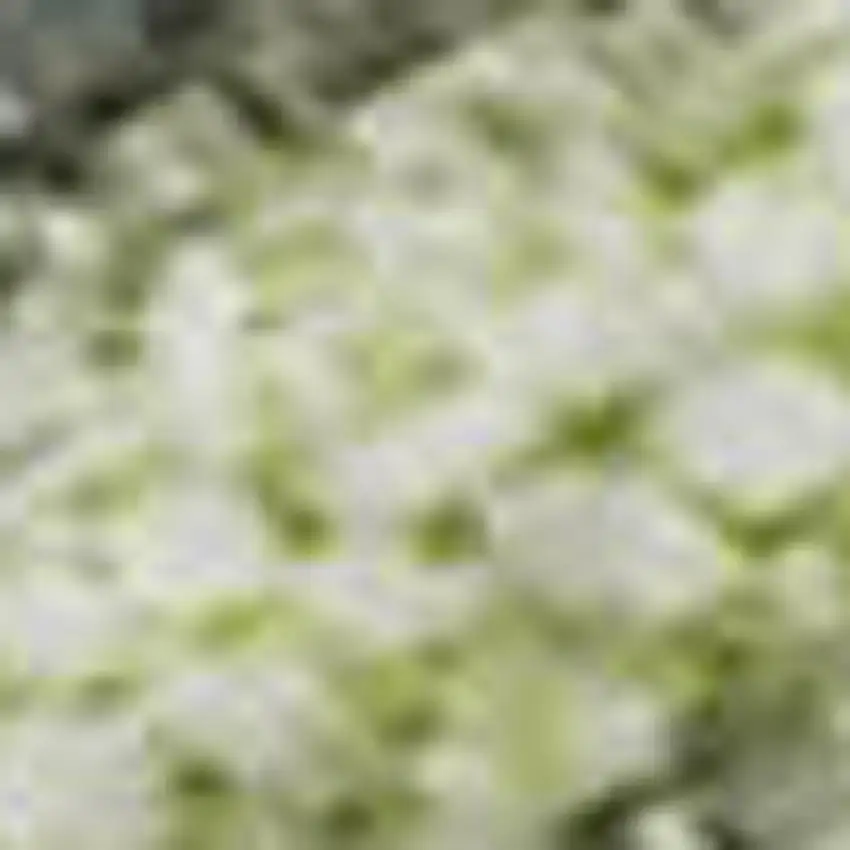 Artichoke Green And Gray Abstract Washable Area Rug With UV Protection Photo 1