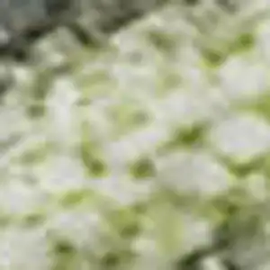 Photo of Artichoke Green And Gray Abstract Washable Area Rug With UV Protection