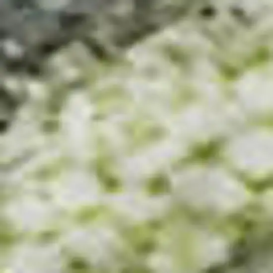 Artichoke Green And Gray Abstract Washable Area Rug With UV Protection Photo 1