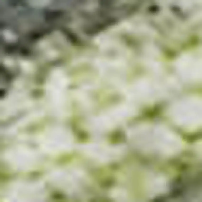 Artichoke Green And Gray Abstract Washable Area Rug With UV Protection Photo 1