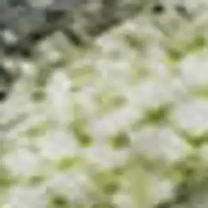 Photo of Artichoke Green And Gray Abstract Washable Area Rug With UV Protection