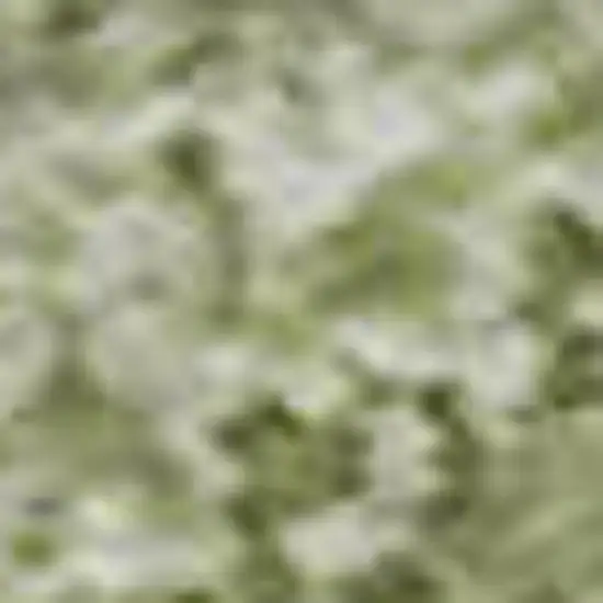 Artichoke Green And Ivory Striped Washable Area Rug With UV Protection Photo 3