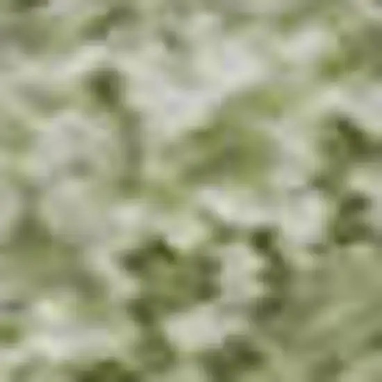 Artichoke Green And Ivory Striped Washable Area Rug With UV Protection Photo 3