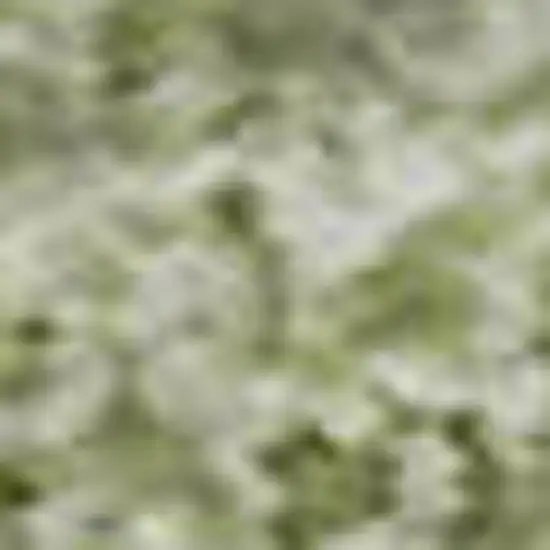 Artichoke Green And Ivory Striped Washable Area Rug With UV Protection Photo 3