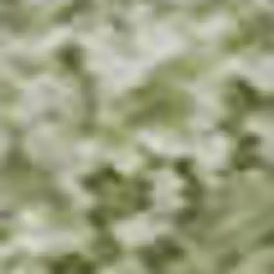 Artichoke Green And Ivory Striped Washable Area Rug With UV Protection Photo 3