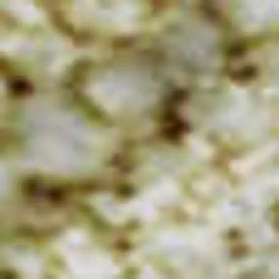 Artichoke Green And Khaki Patchwork Washable Area Rug With UV Protection Photo 2