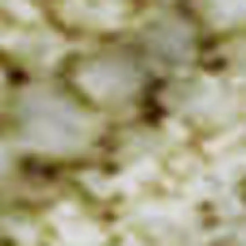 Artichoke Green And Khaki Patchwork Washable Area Rug With UV Protection Photo 2