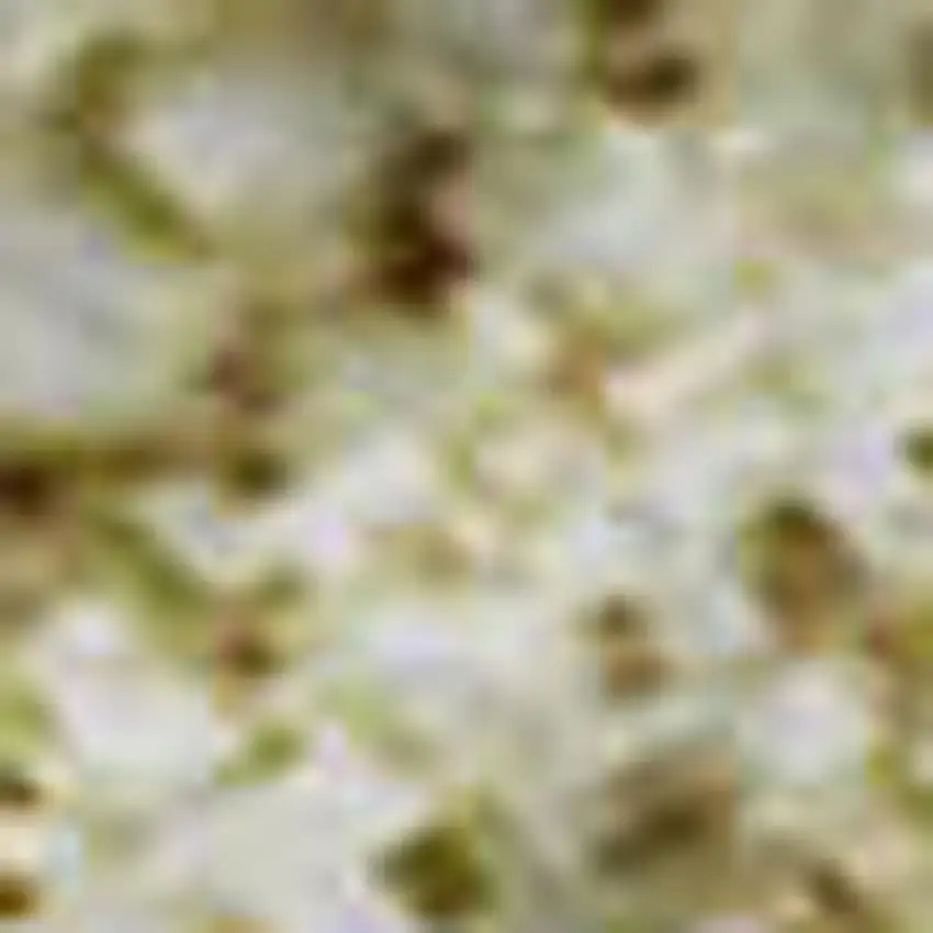 Artichoke Green And Khaki Patchwork Washable Area Rug With UV Protection Photo 2