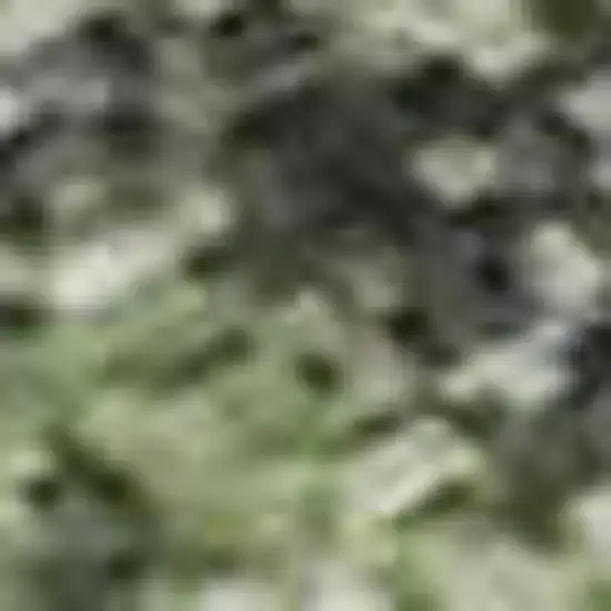 Artichoke Green And Purple Floral Washable Area Rug With UV Protection Photo 2