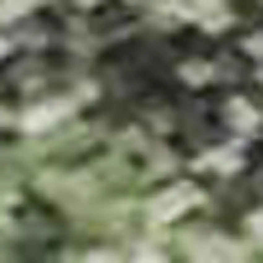 Artichoke Green And Purple Floral Washable Area Rug With UV Protection Photo 2