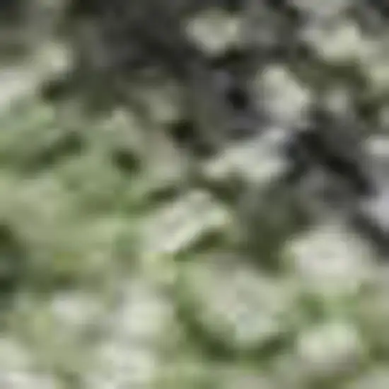 Artichoke Green And Purple Floral Washable Area Rug With UV Protection Photo 2