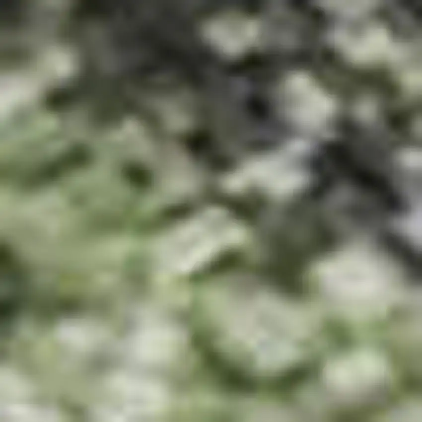 Artichoke Green And Purple Floral Washable Area Rug With UV Protection Photo 2