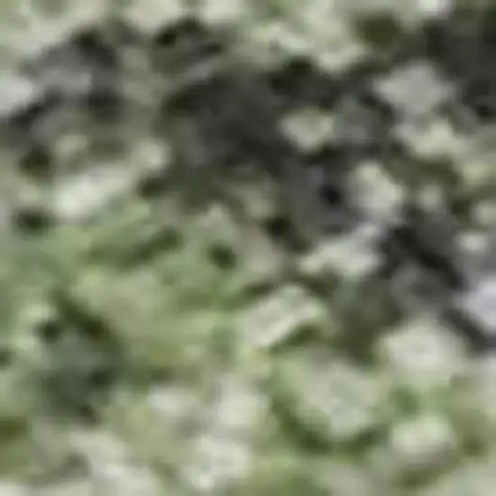 Artichoke Green And Purple Floral Washable Area Rug With UV Protection Photo 3