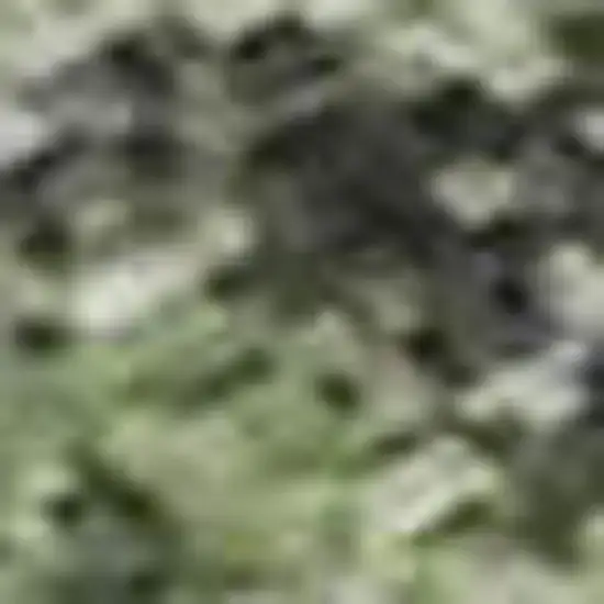 Artichoke Green And Purple Floral Washable Area Rug With UV Protection Photo 2