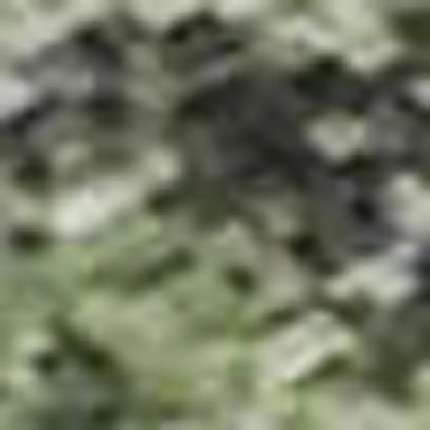 Artichoke Green And Purple Floral Washable Area Rug With UV Protection Photo 2