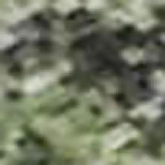 Artichoke Green And Purple Floral Washable Area Rug With UV Protection Photo 2