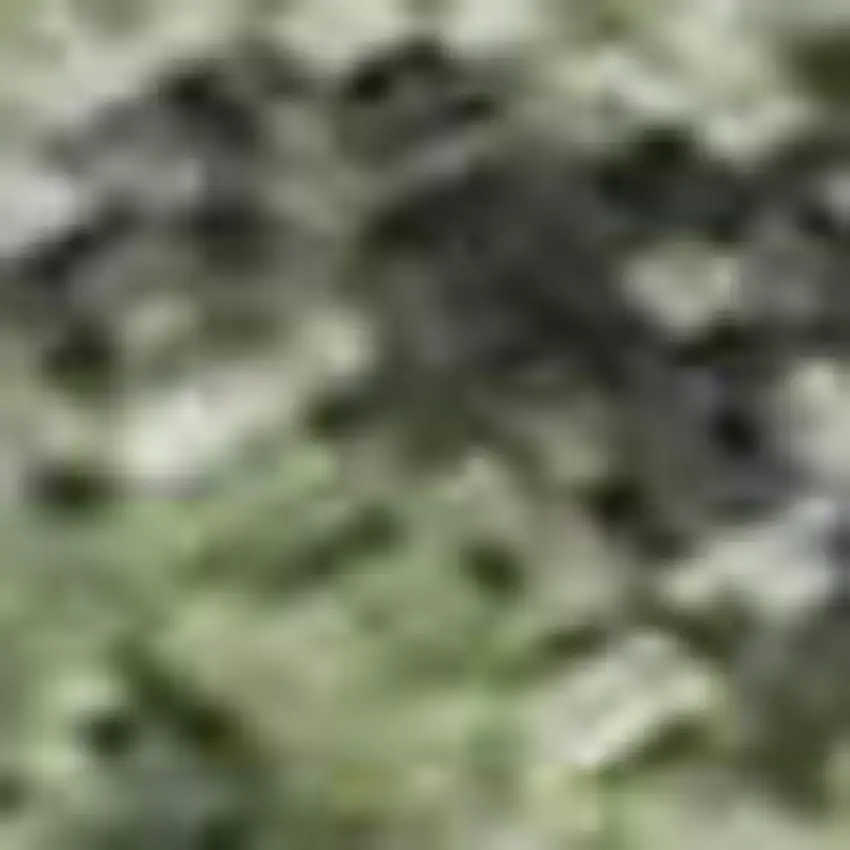 Artichoke Green And Purple Floral Washable Area Rug With UV Protection Photo 2