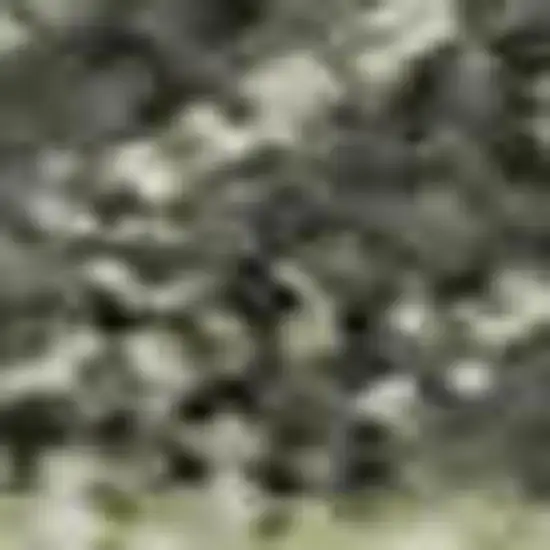 Artichoke Green Aqua And Ivory Geometric Washable Area Rug With UV Protection Photo 3