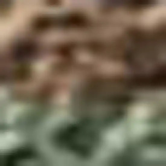 Artichoke Green Brown And Beige Seashell Washable Indoor Outdoor Area Rug Photo 2