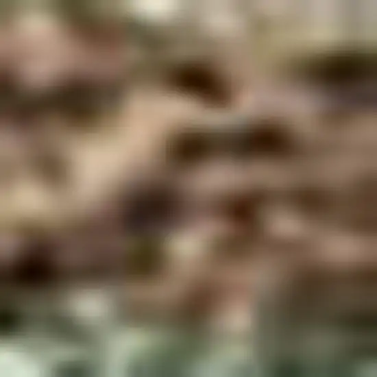 Artichoke Green Brown And Beige Seashell Washable Indoor Outdoor Area Rug Photo 2