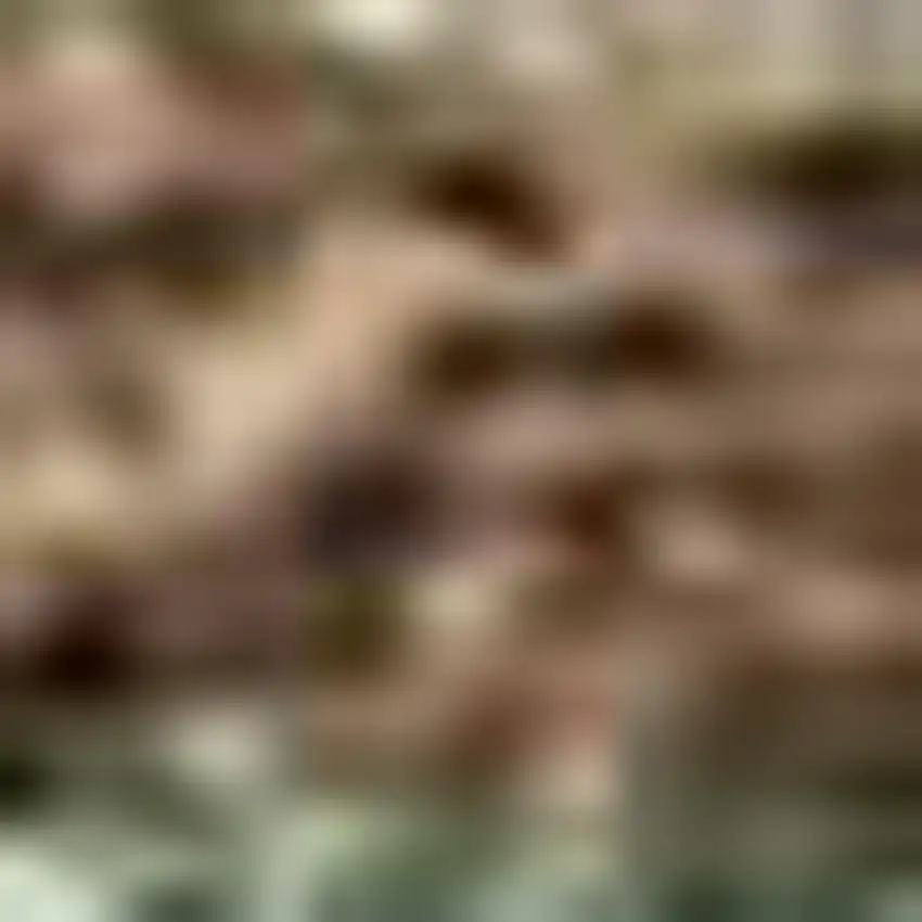 Artichoke Green Brown And Beige Seashell Washable Indoor Outdoor Area Rug Photo 2