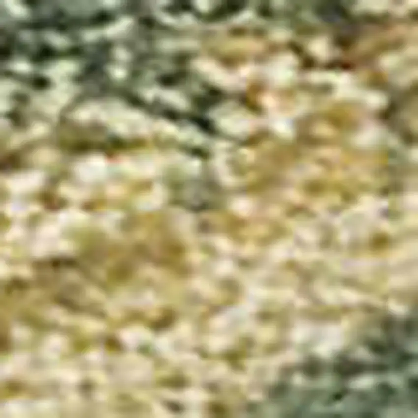 Artichoke Green Gold And Ivory Abstract Washable Indoor Outdoor Area Rug Photo 2