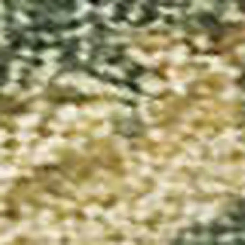 Artichoke Green Gold And Ivory Abstract Washable Indoor Outdoor Area Rug Photo 2