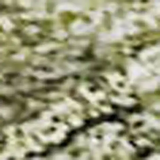 Artichoke Green Gray And Beige Striped Washable Area Rug With UV Protection Photo 2