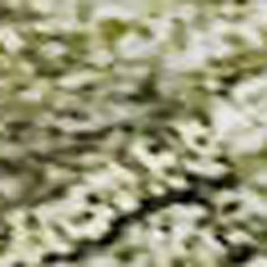 Artichoke Green Gray And Beige Striped Washable Area Rug With UV Protection Photo 2