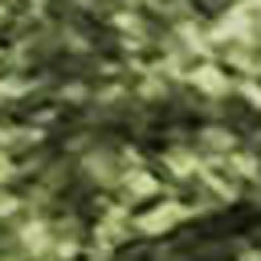 Artichoke Green Gray And Ivory Abstract Washable Area Rug With UV Protection Photo 2