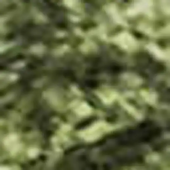 Artichoke Green Gray And Ivory Abstract Washable Area Rug With UV Protection Photo 2