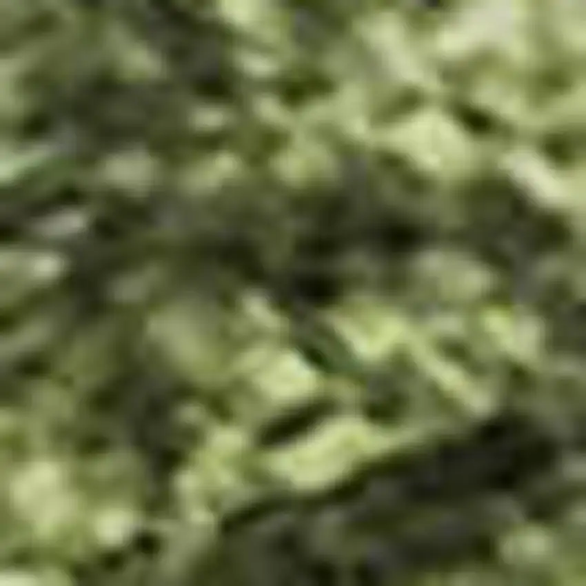 Artichoke Green Gray And Ivory Abstract Washable Area Rug With UV Protection Photo 2