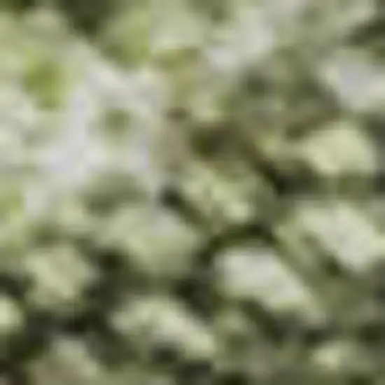 Artichoke Green Gray And Silver Abstract Washable Area Rug With UV Protection Photo 1