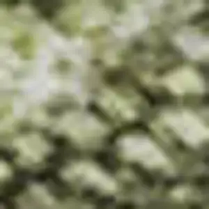 Photo of Artichoke Green Gray And Silver Abstract Washable Area Rug With UV Protection