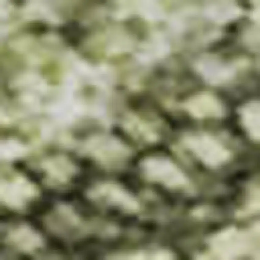 Artichoke Green Gray And Silver Abstract Washable Area Rug With UV Protection Photo 3