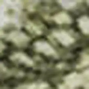 Photo of Artichoke Green Gray And Silver Abstract Washable Area Rug With UV Protection