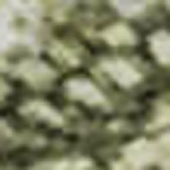 Artichoke Green Gray And Silver Abstract Washable Area Rug With UV Protection Photo 1