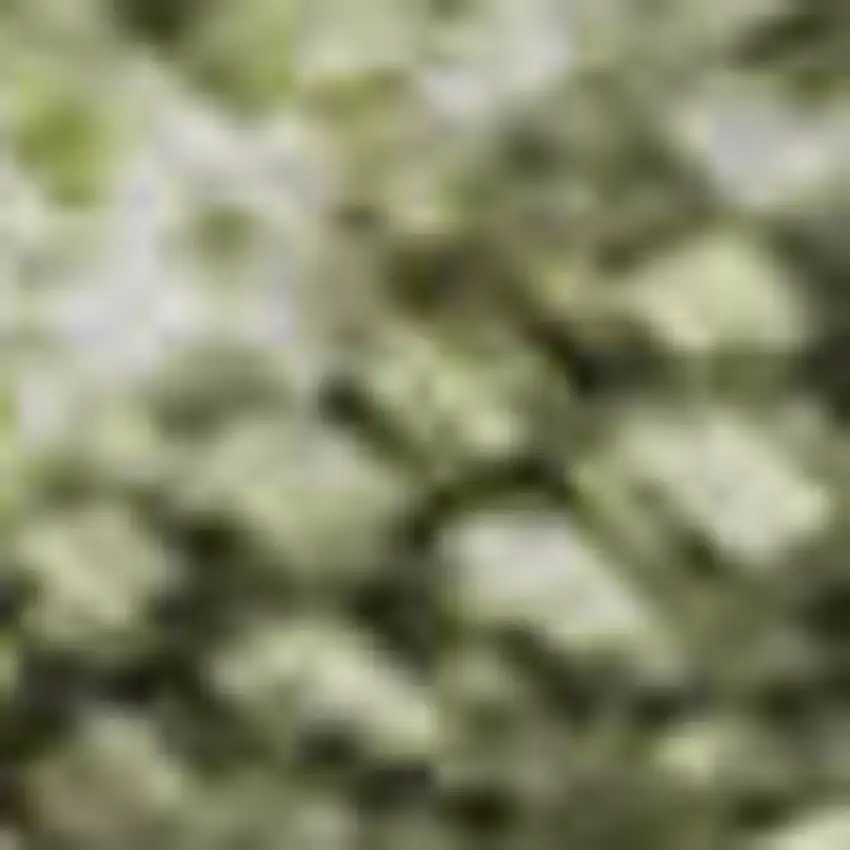 Artichoke Green Gray And Silver Abstract Washable Area Rug With UV Protection Photo 1