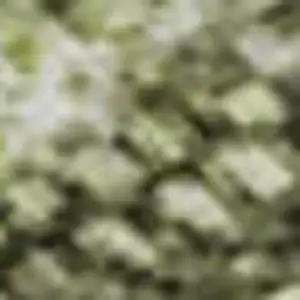 Photo of Artichoke Green Gray And Silver Abstract Washable Area Rug With UV Protection