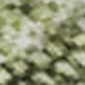 Photo of Artichoke Green Gray And Silver Abstract Washable Area Rug With UV Protection