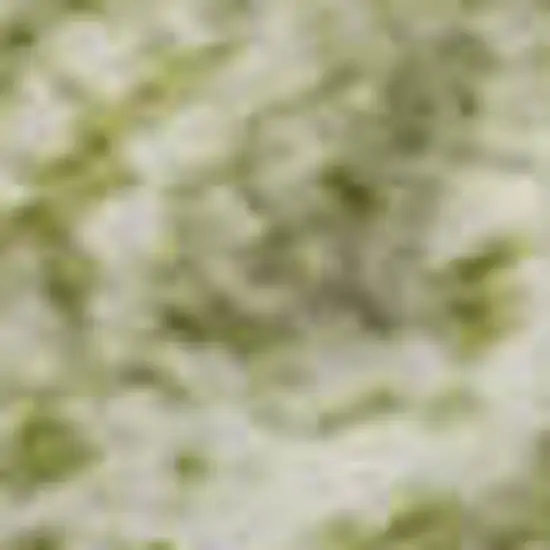 Artichoke Green Ivory And Beige Striped Washable Area Rug With UV Protection Photo 2