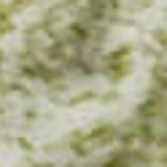 Artichoke Green Ivory And Beige Striped Washable Area Rug With UV Protection Photo 2